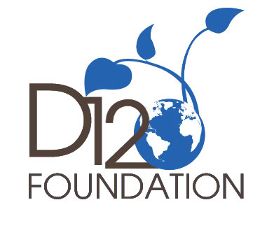 D12 Foundation